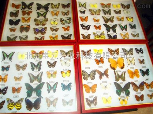 盛针台、6孔针台