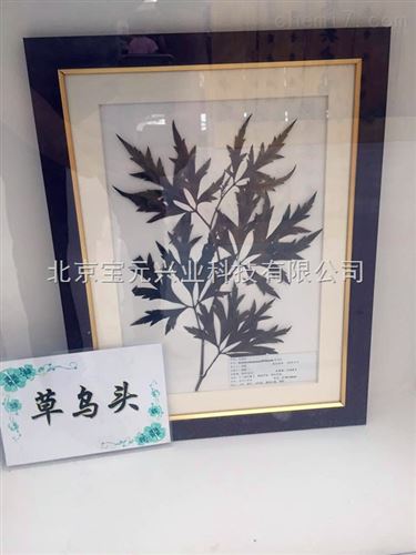 植物标本框、标本盒北京