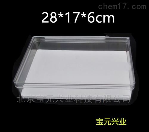 鼠类标本盒亚克力