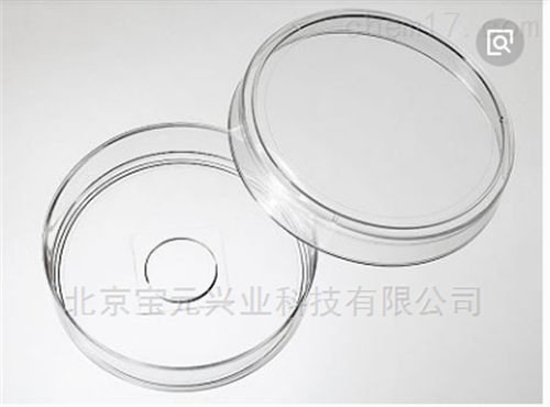 塑料培养皿90mm/灭菌一次性培养