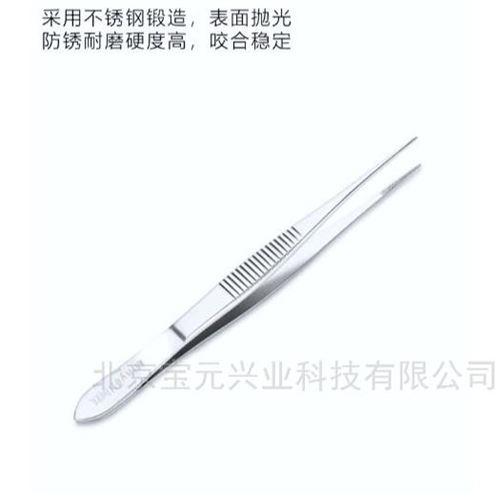 镊子标本分拣镊子不锈钢镊子
