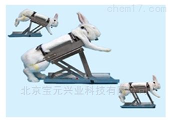 By-tgd02多功能兔固定架图片